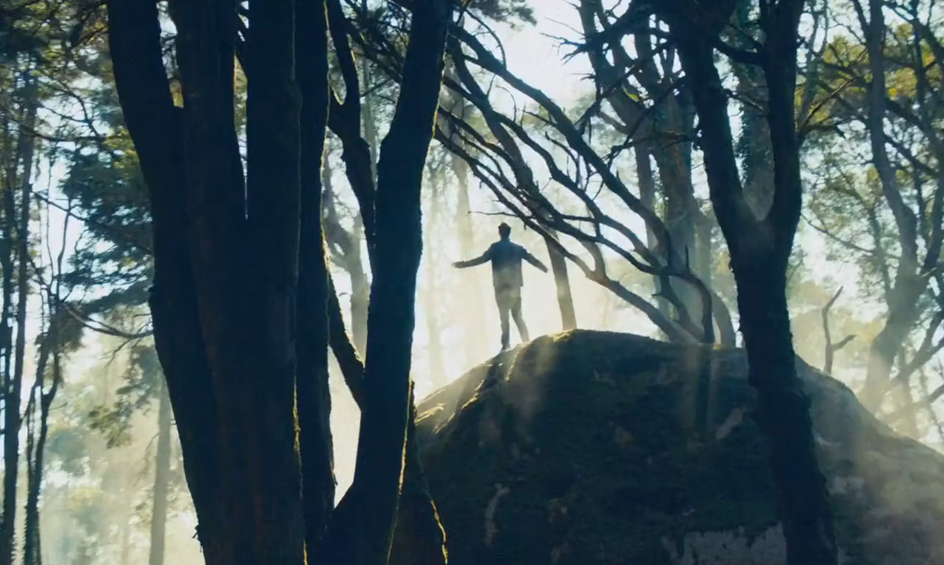 <strong>Audi</strong> Experience