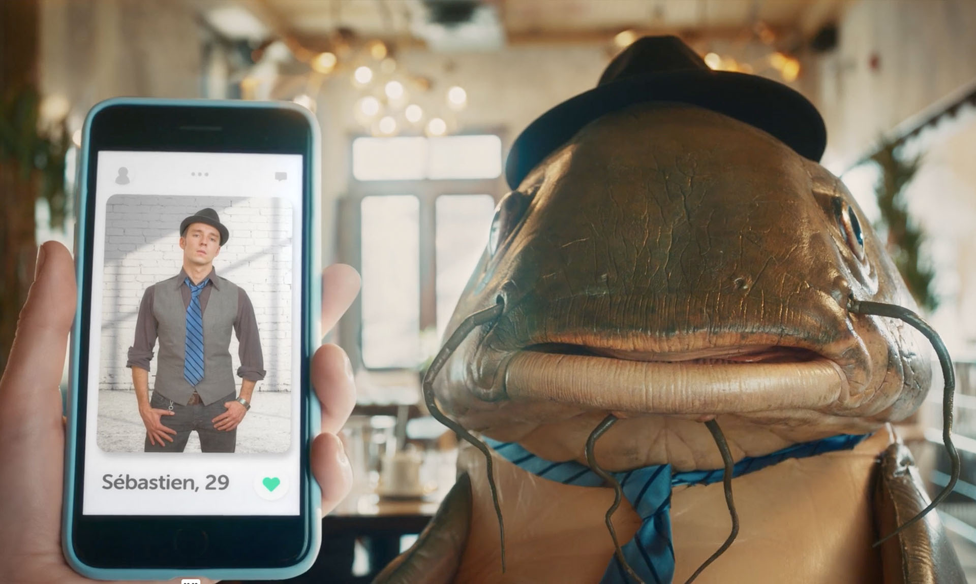 <strong>A2</strong> Catfish