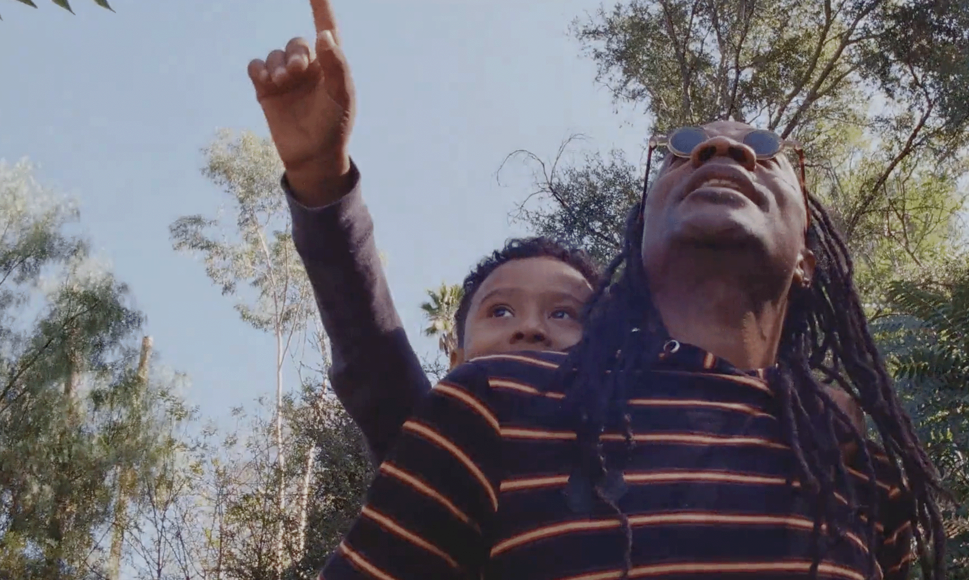 <strong>NOVI</strong> From Facebook