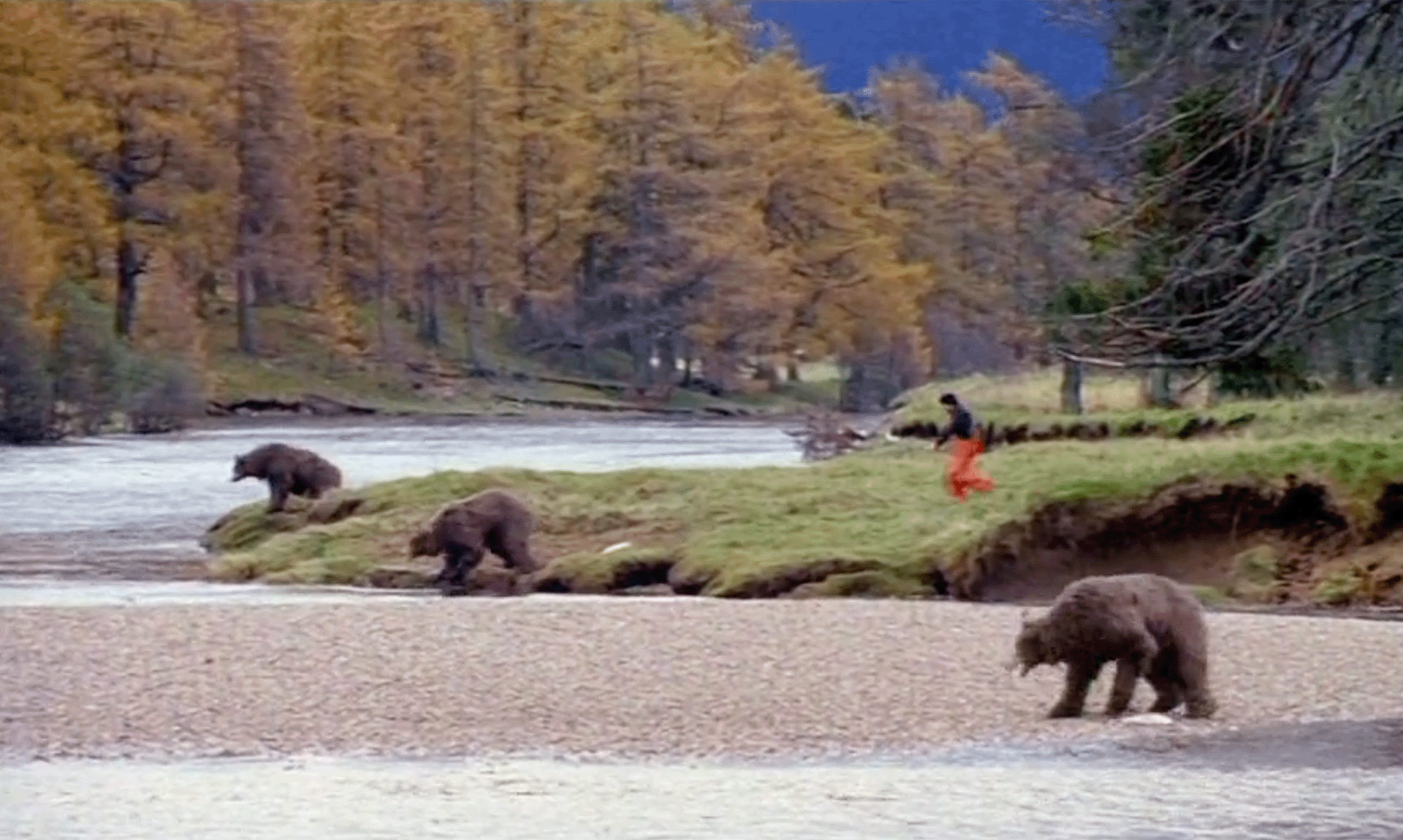 <strong>JOHN WEST</strong> Bear Fight