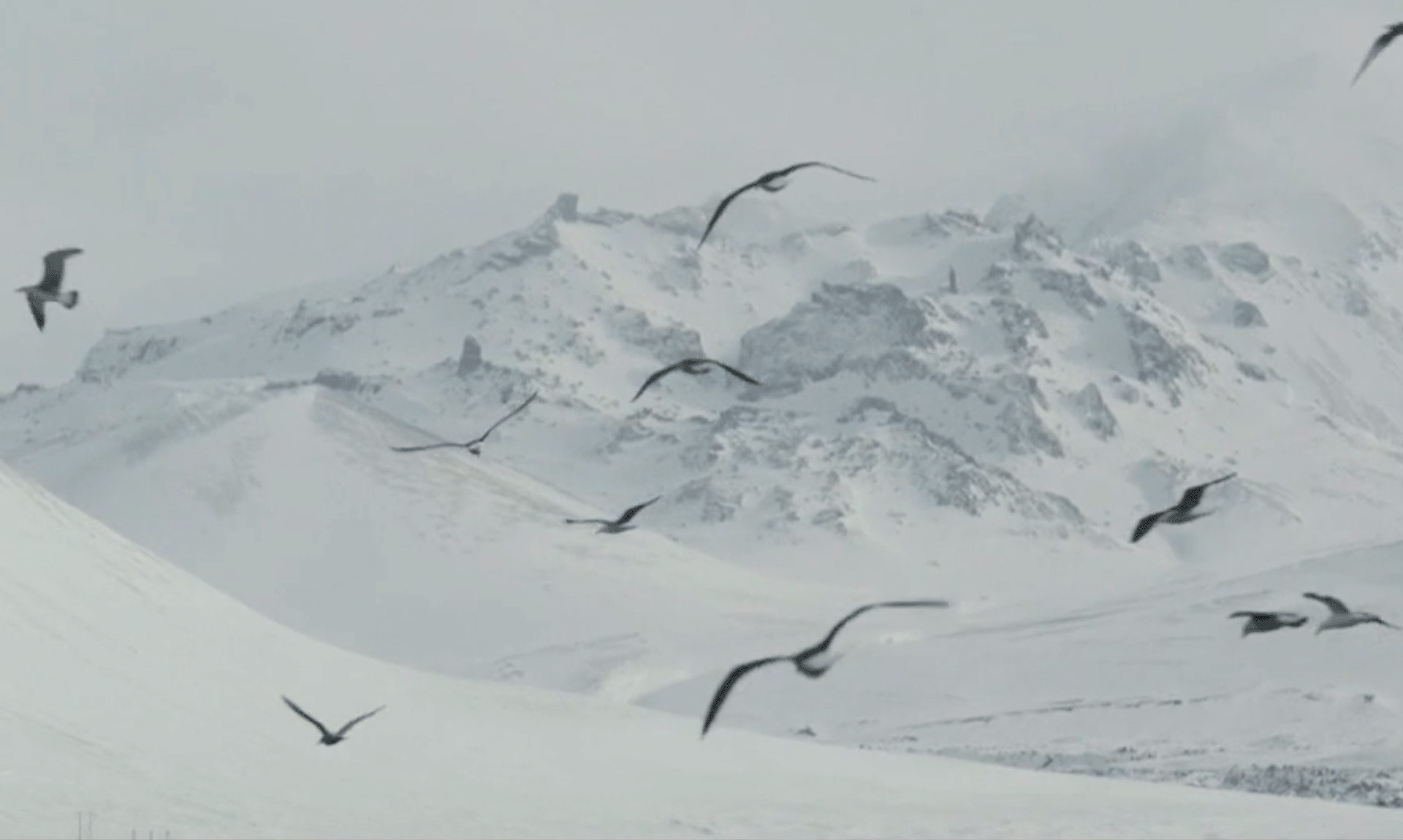 <strong>VISIT ICELAND</strong> Inspired By Iceland