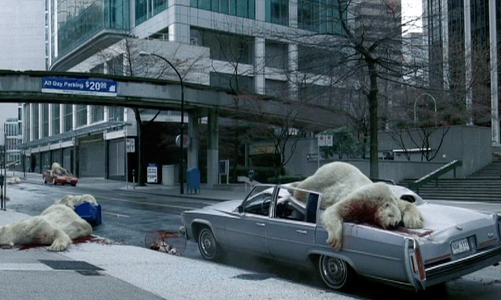 <strong>PLANET STUPID</strong> Polar Bears