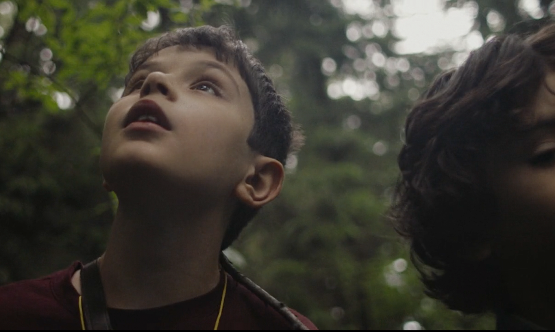 <strong>NISSAN</strong> Dreams